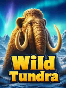 red-tiger/wild-tundra