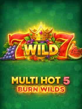 smartsoft/multi-hot-5-burn-wilds