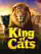 King of Cats