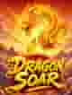 Dragon Soar
