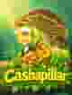 Cashapillar
