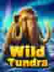 Wild Tundra