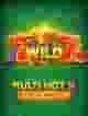 Multi Hot 5 Burn Wilds